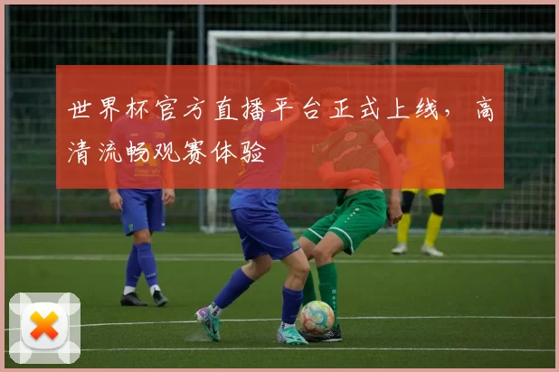 世界杯官方直播平台正式上线，高清流畅观赛体验