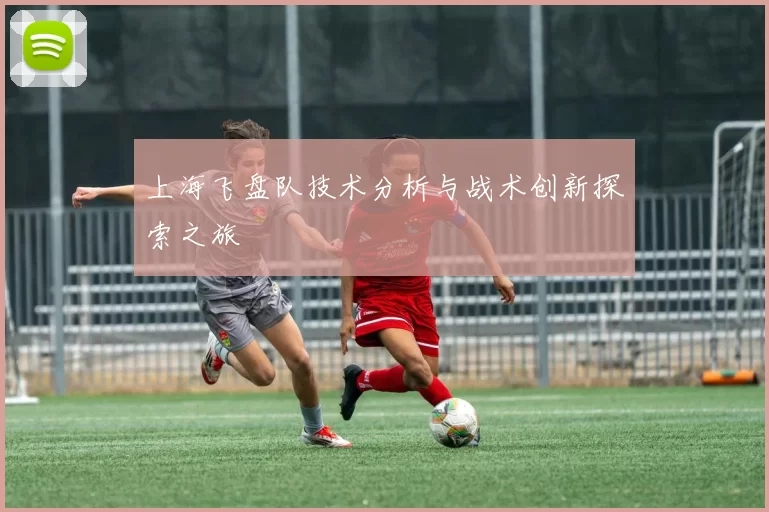 上海飞盘队技术分析与战术创新探索之旅