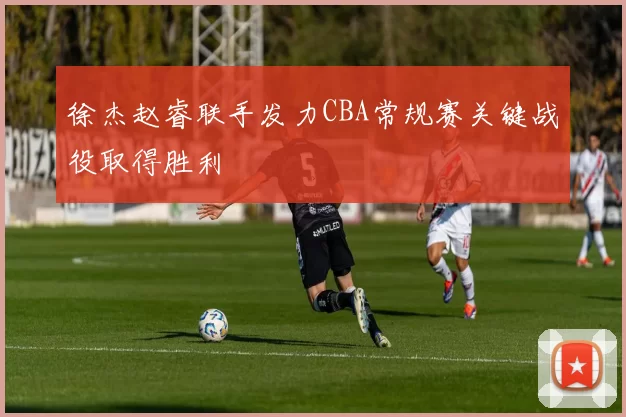 徐杰赵睿联手发力CBA常规赛关键战役取得胜利