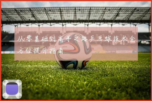 从零基础到高手之路乒乓球技术全方位提升指南