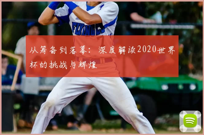 从筹备到落幕：深度解读2020世界杯的挑战与辉煌