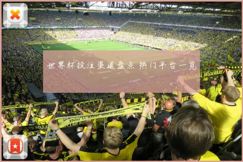 世界杯投注渠道盘点 热门平台一览