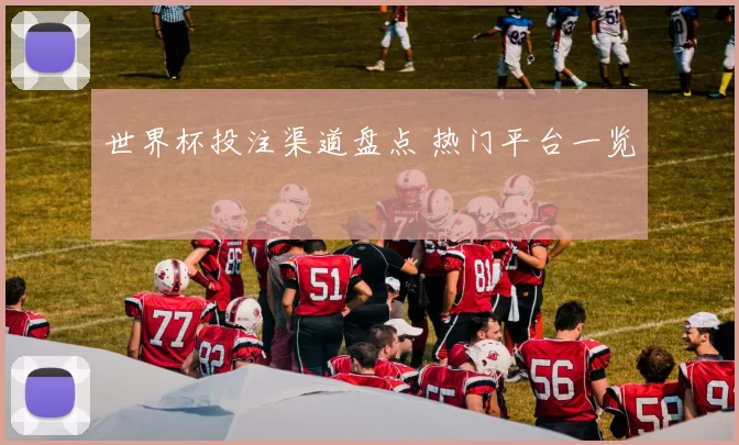 世界杯投注渠道盘点 热门平台一览