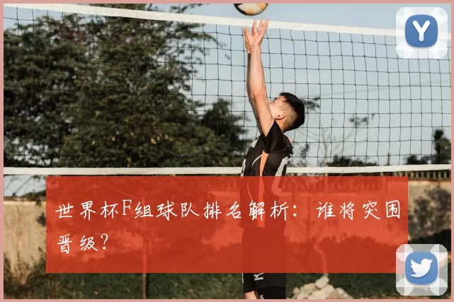世界杯F组球队排名解析:谁将突围晋级?